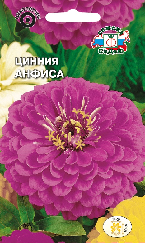 Семена цветов - Цинния Анфиса  0,5 гр.