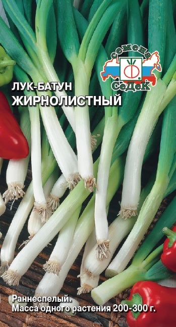 Семена - Лук Жирнолистный 1 г.