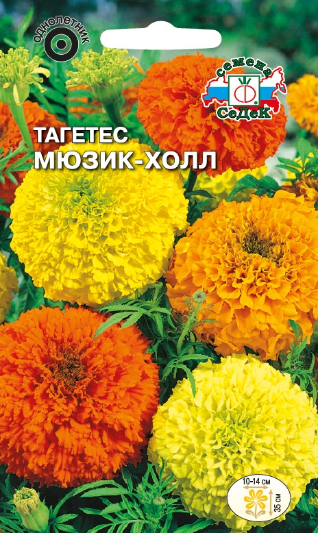 Семена цветов - Тагетес Мюзик-Холл  0,1 гр.