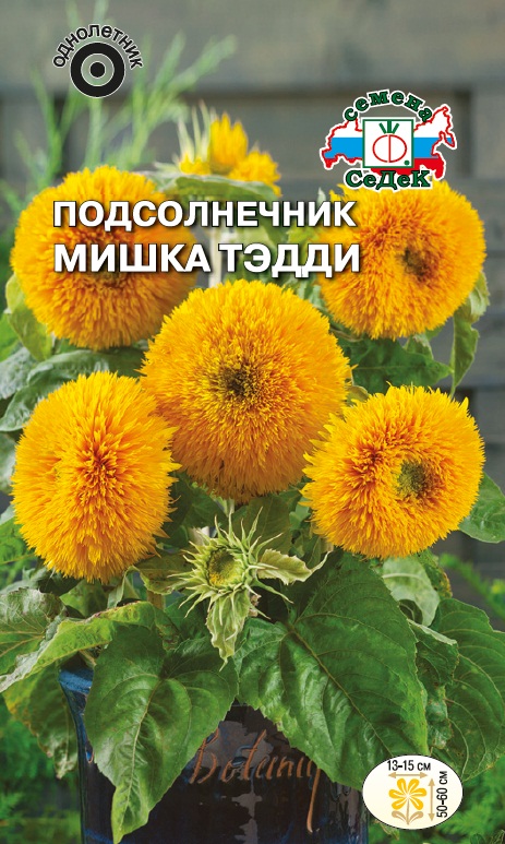 Семена цветов - Подсолнечник Мишка Тэдди  1 гр.