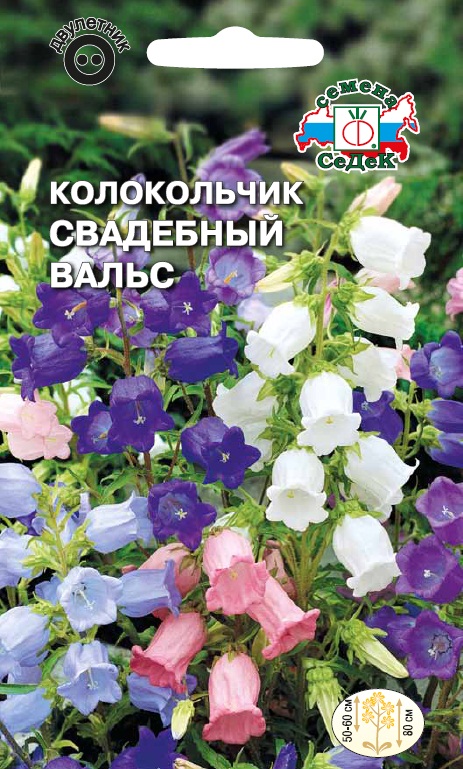 Семена цветов - Колокольчик Свадебный Вальс  0,1 гр.