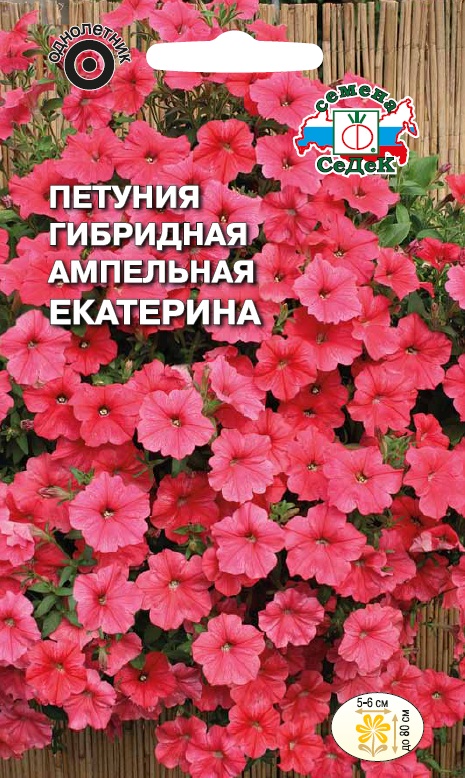 Семена цветов - Петуния Екатерина F1  5 шт