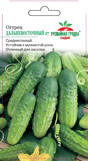 Семена - Огурец Дальневосточный 27  0,5 гр.