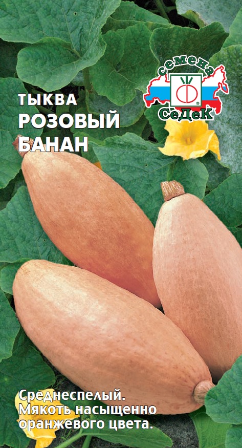 Семена - Тыква Розовый Банан Новинка 1 гр.