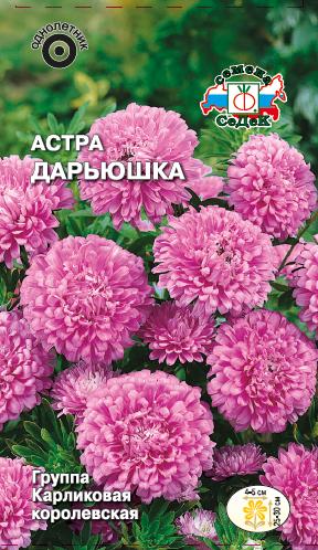 Семена цветов - Астра Дарьюшка  0,2 гр.