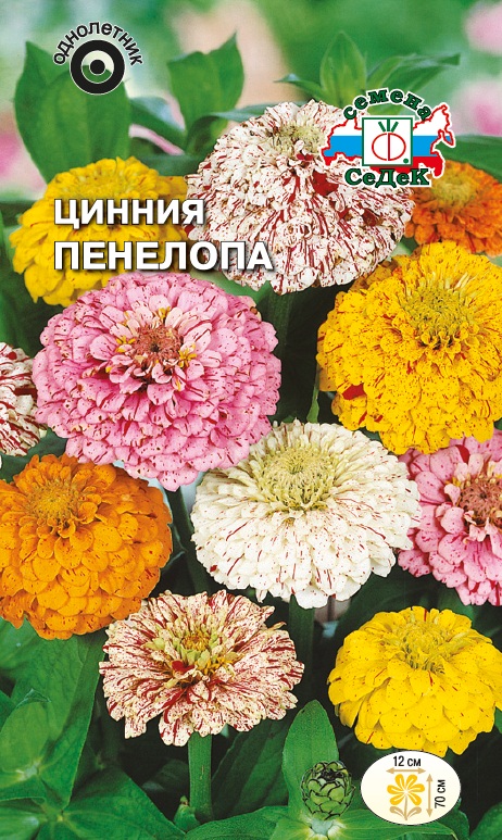 Семена цветов - Цинния Пенелопа  0,2 гр.