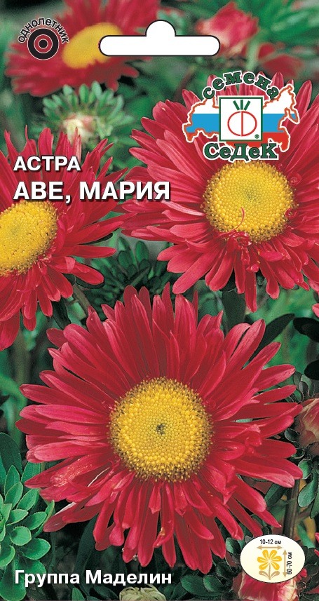 Семена цветов - Астра Аве, Мария  0,2 гр.
