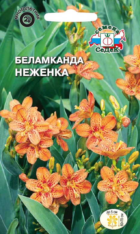 Семена цветов - Беламканда Китайская  Неженка 0,2 гр.