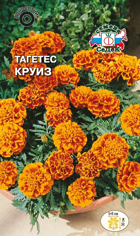 Семена цветов - Тагетес Круиз  0,2 гр.