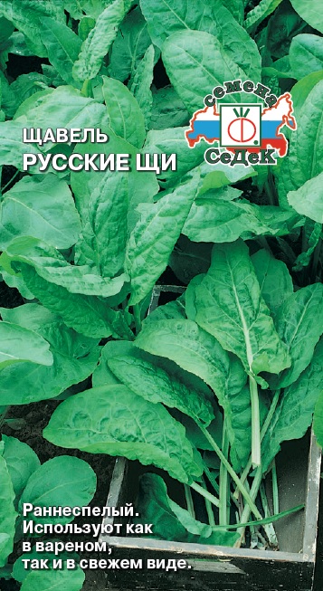 Семена - Щавель Русские Щи 0,5 гр.